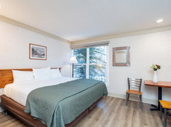 Mountainside Inn 205 Hotel Room