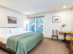 Mountainside Inn 219 Hotel Room