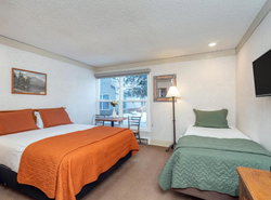 Mountainside Inn 304 Hotel Room