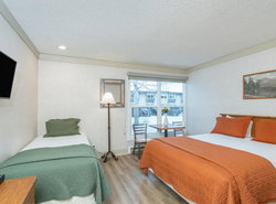 Mountainside Inn 306 Hotel Room