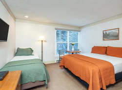 Mountainside Inn 403 Hotel Room