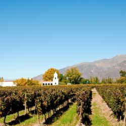 Cafayate Accommodation Los Angeles