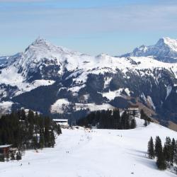 Kitzbuhel Accommodation Los Angeles