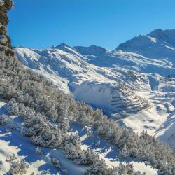 St. Anton Accommodation Los Angeles