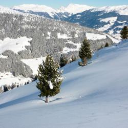 Zillertal Accommodation Los Angeles