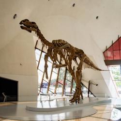 National Museum of Australia, Canberra Accommodation Los Angeles
