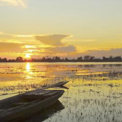 Pantanal Accommodation Los Angeles
