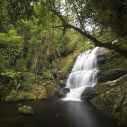 Serra da Bocaina National Park Accommodation Los Angeles
