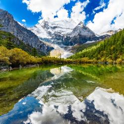 Sichuan Accommodation Los Angeles