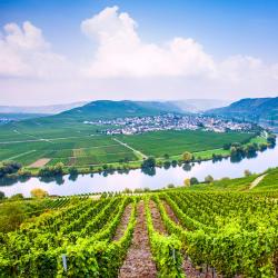 German Mosel Accommodation Los Angeles