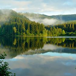 Harz Accommodation Los Angeles