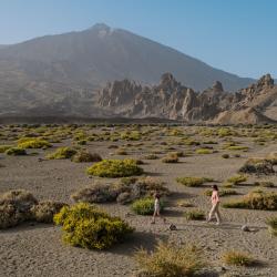 Canary Islands Accommodation Los Angeles