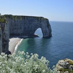 Normandy Accommodation Los Angeles