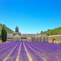 Provence Accommodation Los Angeles