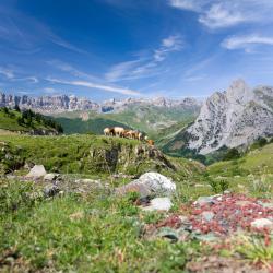 Pyrénées Accommodation Los Angeles