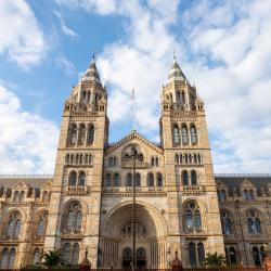 Natural History Museum, London Accommodation Los Angeles