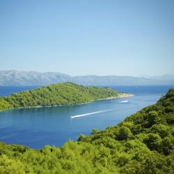 Mljet Island Accommodation Los Angeles