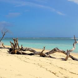 Gili Trawangan Accommodation Los Angeles