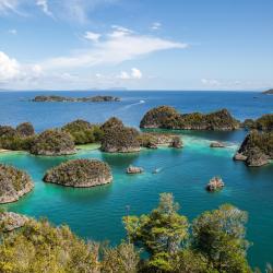 Raja Ampat Accommodation Los Angeles