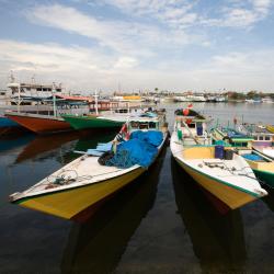 South Sulawesi Accommodation Los Angeles