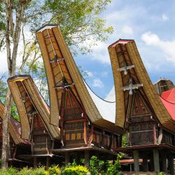 Sulawesi Accommodation Los Angeles