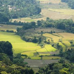 Coorg Accommodation Los Angeles