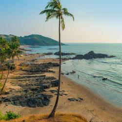 North Goa Accommodation Los Angeles