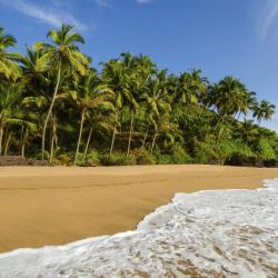 South Goa Accommodation Los Angeles