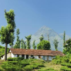 Wayanad Accommodation Los Angeles