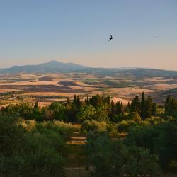 Tuscany Accommodation Los Angeles