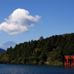 Hakone Accommodation Los Angeles