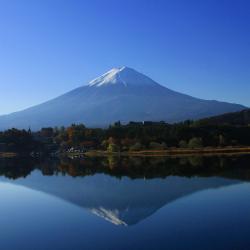 Mount Fuji Accommodation Los Angeles