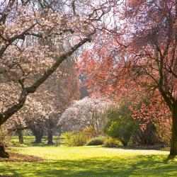 Christchurch Accommodation Los Angeles