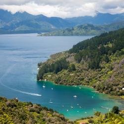 Marlborough Sounds Accommodation Los Angeles