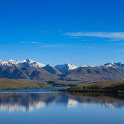 South Island Accommodation Los Angeles