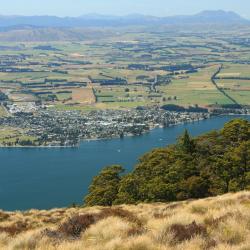 Te Anau Accommodation Los Angeles