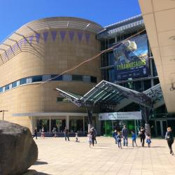 Te Papa Museum, Wellington Accommodation Los Angeles