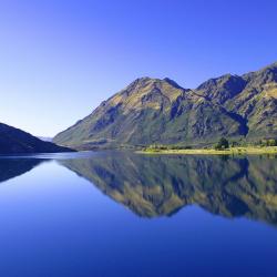 Wanaka Accommodation Los Angeles