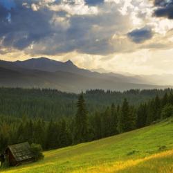 Gmina Bukowina Tatrzanska Accommodation Los Angeles