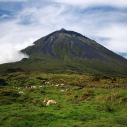 Pico island Accommodation Los Angeles