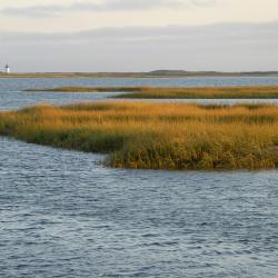 Cape Cod Accommodation Los Angeles