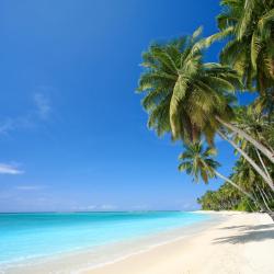 Hawaii Accommodation Los Angeles
