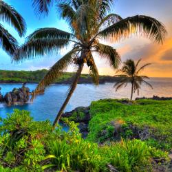 Maui Accommodation Los Angeles