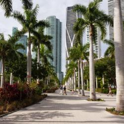 Miami Accommodation Los Angeles