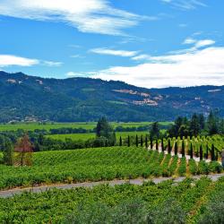 Napa Valley Wine Country Accommodation Los Angeles