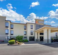 Comfort Inn & Suites Lincoln Talladega I-20 - Accommodation Los Angeles