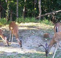 Eureka Suites - Accommodation Los Angeles