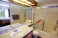 Stellers Jay Lake View Condo Condo