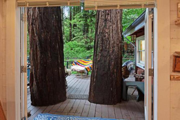 Mt. Hermon Treehouse - thumb 0