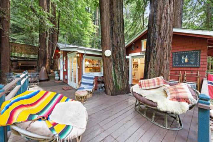 Mt. Hermon Treehouse - thumb 5